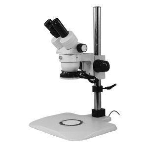 Stereo Microscope